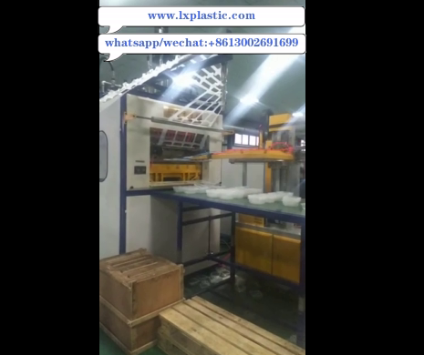 8up pp tray  on thermoforming machine  with robot arm stacker 
