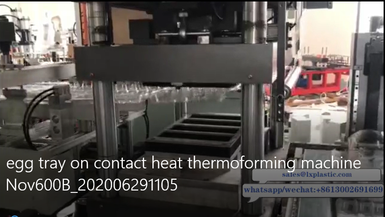 egg tray on contact heat thermoforming machine Nov600B