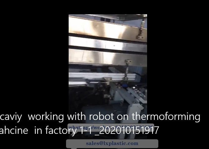 21caviy working with robot on thermoforming mahcine in factory 1 1
