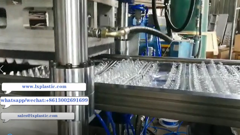 24 egg tray on 3in1  thermoforming machine with up stacker